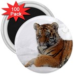 Tiger 2015 0101 3  Magnets (100 pack) Front