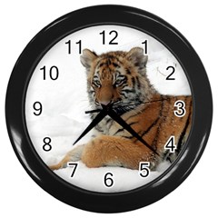 Tiger 2015 0101 Wall Clocks (black) by JAMFoto