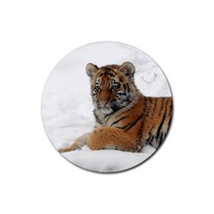 Tiger 2015 0101 Rubber Coaster (round)  by JAMFoto