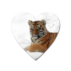 Tiger 2015 0101 Heart Magnet