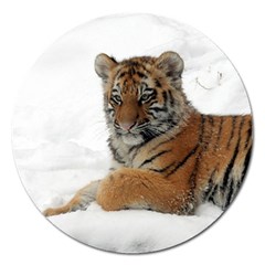 Tiger 2015 0101 Magnet 5  (round)