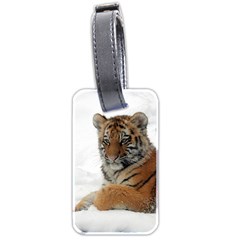 Tiger 2015 0101 Luggage Tags (two Sides)