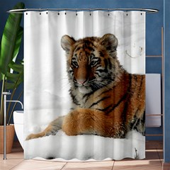 Tiger 2015 0101 Shower Curtain 60  X 72  (medium) 