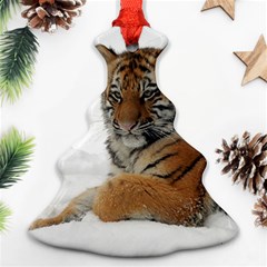 Tiger 2015 0101 Ornament (christmas Tree)