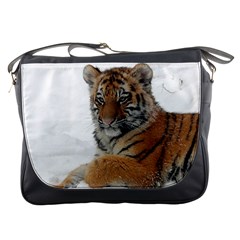 Tiger 2015 0101 Messenger Bags by JAMFoto