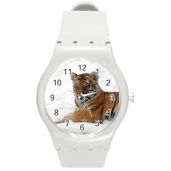 Tiger 2015 0101 Round Plastic Sport Watch (m)