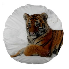 Tiger 2015 0101 Large 18  Premium Round Cushions