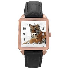 Tiger 2015 0101 Rose Gold Watches