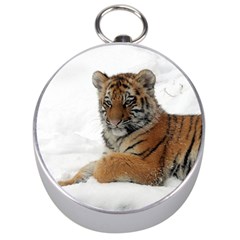 Tiger 2015 0101 Silver Compasses