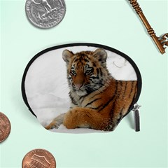 Tiger 2015 0101 Accessory Pouches (small) 