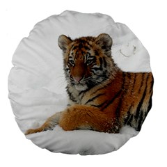 Tiger 2015 0101 Large 18  Premium Flano Round Cushions