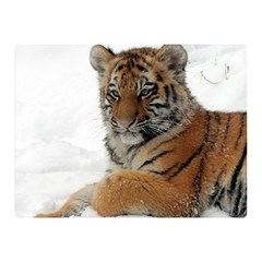 Tiger 2015 0101 Double Sided Flano Blanket (mini) 