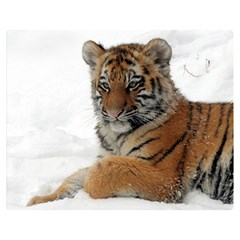 Tiger 2015 0101 Double Sided Flano Blanket (medium)  by JAMFoto