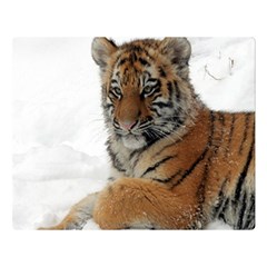 Tiger 2015 0101 Double Sided Flano Blanket (large) 