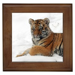 Tiger 2015 0101 Framed Tiles