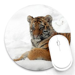 Tiger 2015 0101 Round Mousepads by JAMFoto