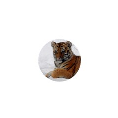 Tiger 2015 0101 1  Mini Magnets