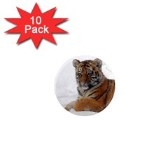 Tiger 2015 0101 1  Mini Magnet (10 Pack) 