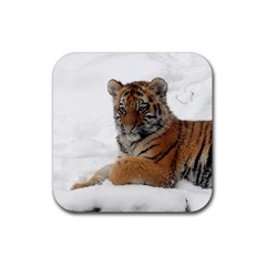 Tiger 2015 0101 Rubber Coaster (square)  by JAMFoto