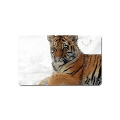 Tiger 2015 0101 Magnet (name Card)