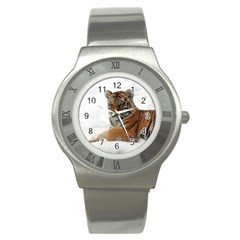 Tiger 2015 0101 Stainless Steel Watches