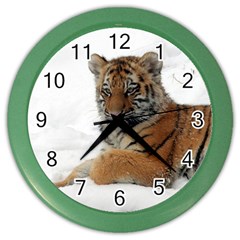 Tiger 2015 0101 Color Wall Clocks