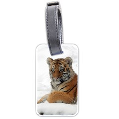 Tiger 2015 0101 Luggage Tags (one Side) 