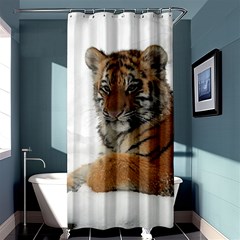 Tiger 2015 0101 Shower Curtain 36  X 72  (stall) 