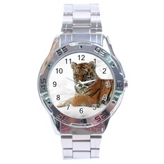 Tiger 2015 0101 Stainless Steel Men s Watch