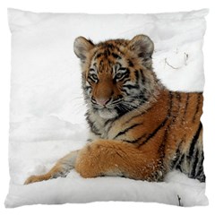 Tiger 2015 0101 Large Cushion Cases (one Side)  by JAMFoto