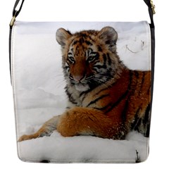 Tiger 2015 0101 Flap Messenger Bag (s) by JAMFoto