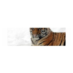 Tiger 2015 0101 Satin Scarf (oblong) by JAMFoto