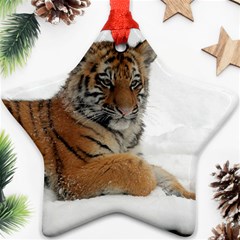 Tiger 2015 0102 Ornament (star) 