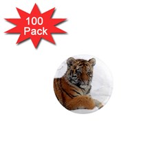 Tiger 2015 0102 1  Mini Magnets (100 Pack) 