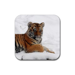 Tiger 2015 0102 Rubber Coaster (square)  by JAMFoto