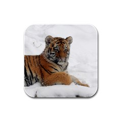 Tiger 2015 0102 Rubber Square Coaster (4 Pack) 