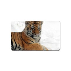 Tiger 2015 0102 Magnet (name Card)