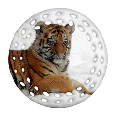 Tiger 2015 0102 Ornament (round Filigree) 