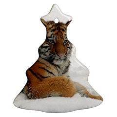 Tiger 2015 0102 Ornament (christmas Tree)