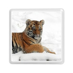 Tiger 2015 0102 Memory Card Reader (square)  by JAMFoto