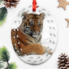 Tiger 2015 0102 Oval Filigree Ornament (2-side)  by JAMFoto