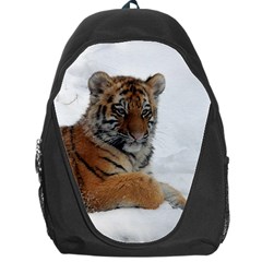 Tiger 2015 0102 Backpack Bag by JAMFoto