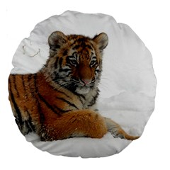 Tiger 2015 0102 Large 18  Premium Round Cushions