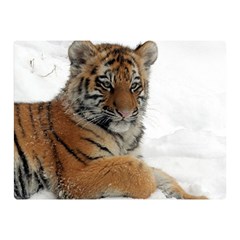 Tiger 2015 0102 Double Sided Flano Blanket (mini) 