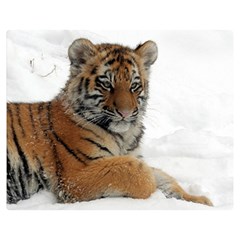 Tiger 2015 0102 Double Sided Flano Blanket (medium) 