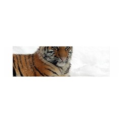 Tiger 2015 0102 Satin Scarf (oblong) by JAMFoto