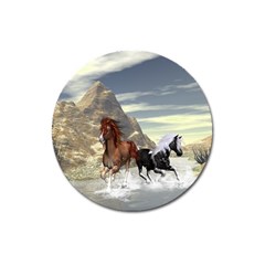 Beautiful Horses Running In A River Magnet 3  (round) by FantasyWorld7