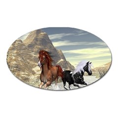 Beautiful Horses Running In A River Oval Magnet by FantasyWorld7