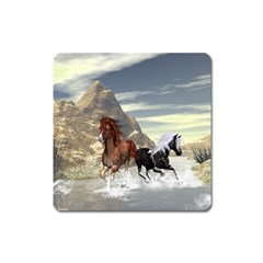 Beautiful Horses Running In A River Square Magnet by FantasyWorld7