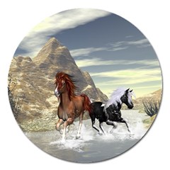 Beautiful Horses Running In A River Magnet 5  (round) by FantasyWorld7